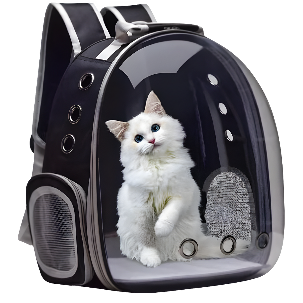 Bolsa de transporte cães