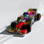 Carro de Corrida com Controle Remoto Brinquedo.