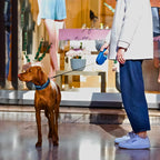 Coleira retrátil para cachorro.