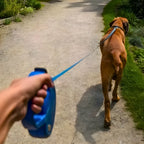 Coleira retrátil para cachorro.