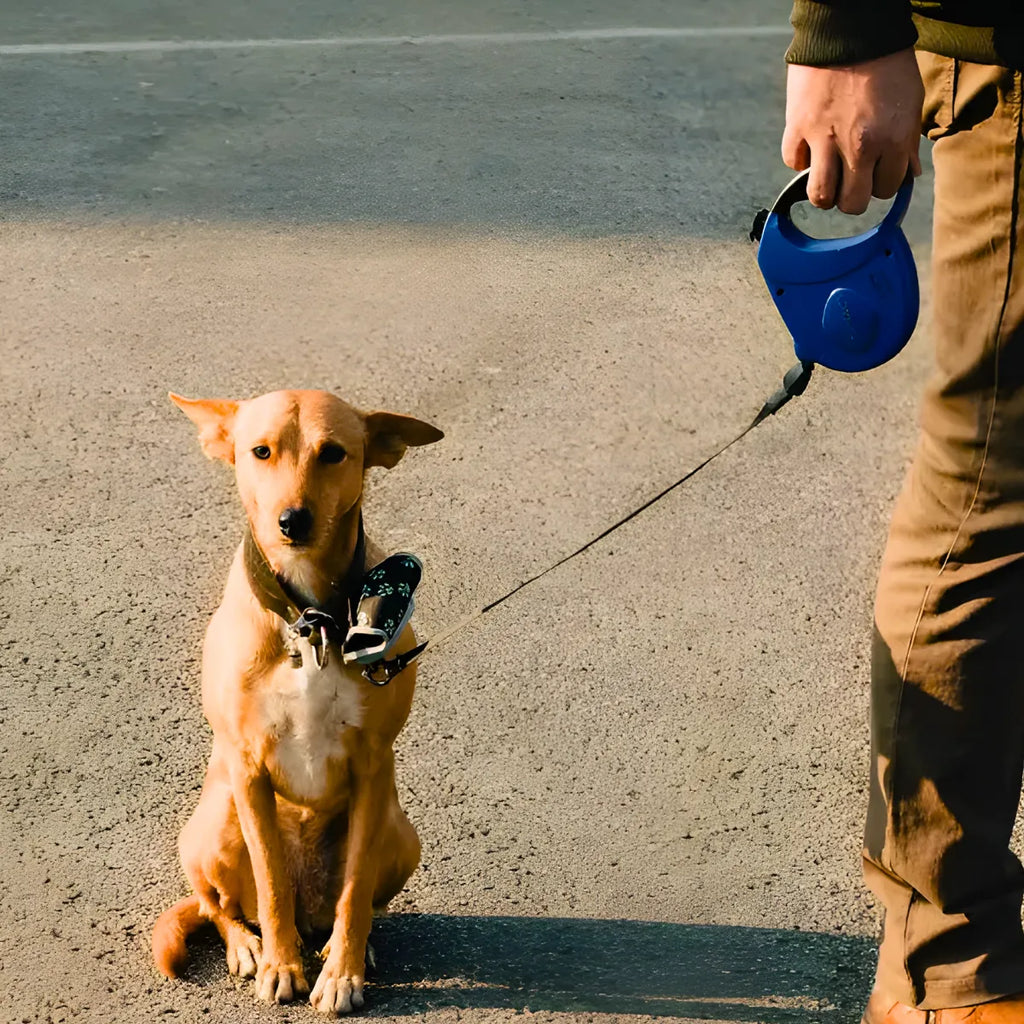 Coleira retrátil para cachorro.