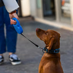Coleira retrátil para cachorro.