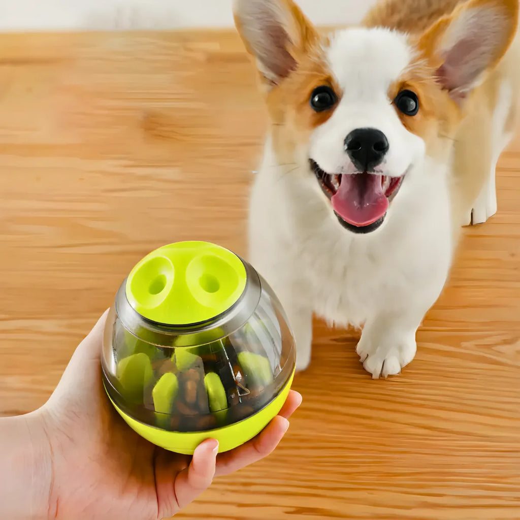 Brinquedo Interativo Para Cães com Dispenser para Petisco.