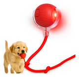 Bola Giratória Pet