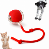Bola Giratória Pet