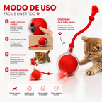 Bola Giratória Pet