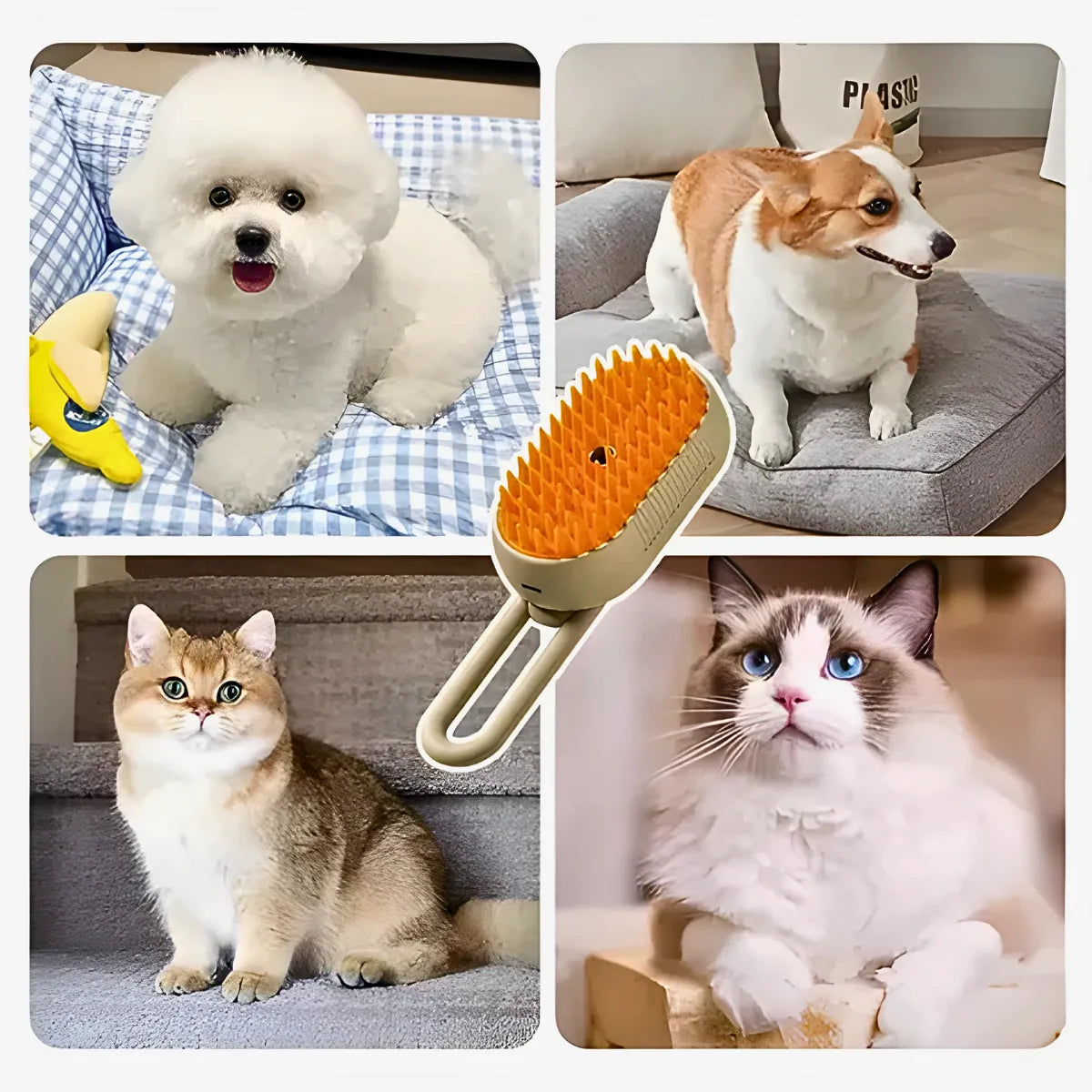 Escova Pet