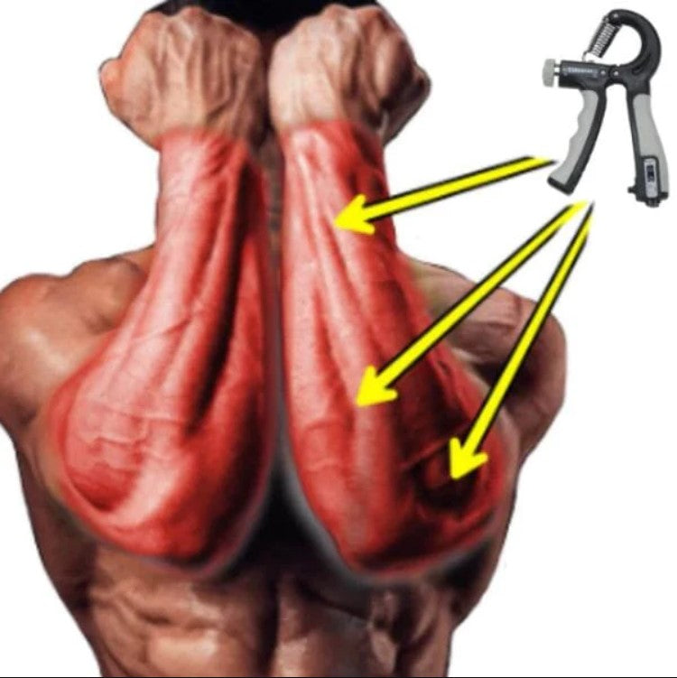 HAND GRIP