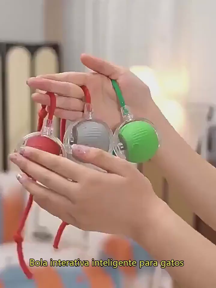 Bola_Girat_ria_Pet